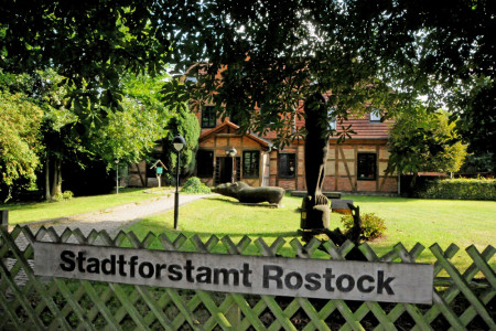 Am kommenden Sonnabend wird rund um das Gebäude des Stadtforstamtes in Wiethagen der 11. Rostocker Waldtag gefeiert.