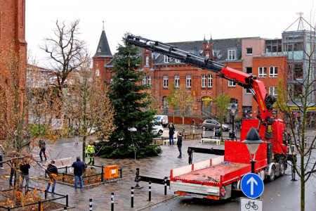 Schon jetzt sucht der Handels- und Gewerbeverein einen passenden Weihnachtsbaum für Warnemünde.//Foto: Archiv