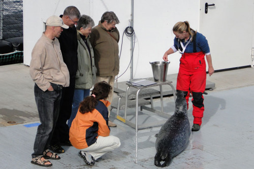 Die Robbenforschungsstation auf der Warnemünder Ostmole
