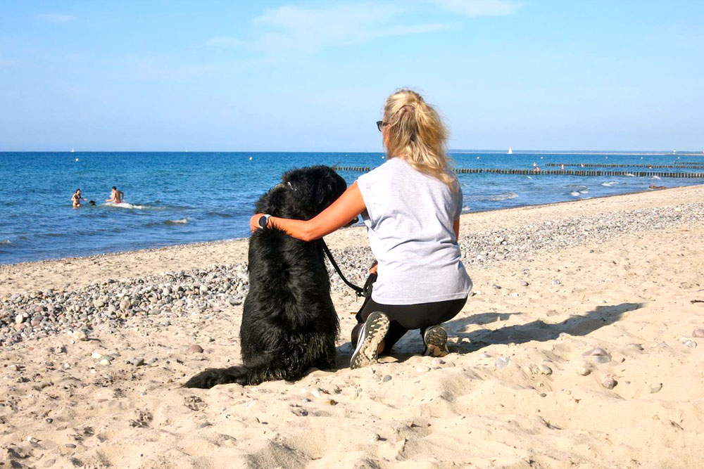 Das Mitbringen von Hunden ist an mehreren Strandabschnitten erlaubt.